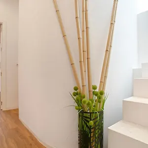 Genteel Santa Teresa Appartement